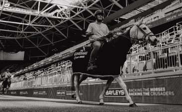 Horse Test Photo 4